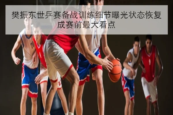 樊振东世乒赛备战训练细节曝光状态恢复成赛前最大看点